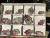 Natural Single Jacaranda Amethyst Crystals  x 12 From Zambia - Toprock Gemstones and Minerals 