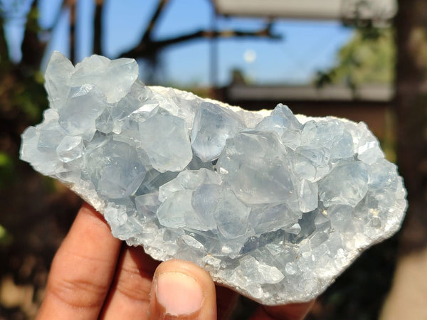 Natural Blue Celestite Crystal Specimens  x 6 From Sakoany, Madagascar - Toprock Gemstones and Minerals 