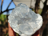 Natural Blue Celestite Crystal Specimens  x 6 From Sakoany, Madagascar - Toprock Gemstones and Minerals 