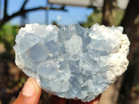 Natural Blue Celestite Crystal Specimens  x 6 From Sakoany, Madagascar - Toprock Gemstones and Minerals 