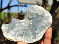 Natural Blue Celestite Crystal Specimens  x 6 From Sakoany, Madagascar - Toprock Gemstones and Minerals 