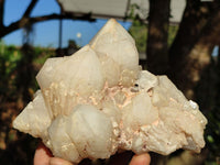 Natural White Phantom Pineapple Candle Quartz Clusters  x 2 From Madagascar - Toprock Gemstones and Minerals 