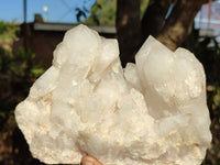 Natural White Phantom Pineapple Candle Quartz Clusters  x 2 From Madagascar - Toprock Gemstones and Minerals 