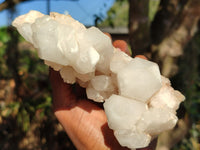 Natural White Phantom Pineapple Candle Quartz Clusters  x 2 From Madagascar - Toprock Gemstones and Minerals 