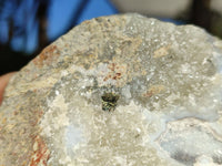 Natural Blue Lace Agate Geode Specimens  x 12 From Nsanje, Malawi - Toprock Gemstones and Minerals 