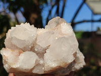 Natural White Cactus Flower Spirit Quartz Specimens  x 6 From Boekenhouthoek, South Africa - Toprock Gemstones and Minerals 