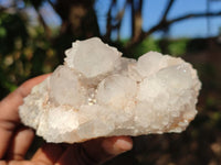 Natural White Cactus Flower Spirit Quartz Specimens  x 6 From Boekenhouthoek, South Africa - Toprock Gemstones and Minerals 