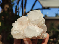 Natural White Cactus Flower Spirit Quartz Specimens  x 6 From Boekenhouthoek, South Africa - Toprock Gemstones and Minerals 