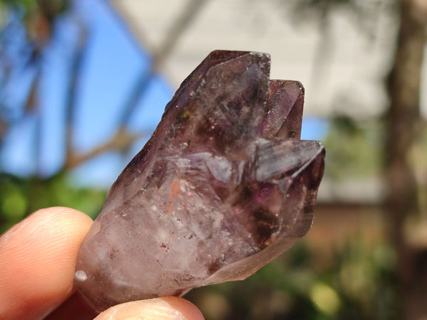 Natural Small Smokey Amethyst Crystals  x 12 From Chiredzi, Zimbabwe - Toprock Gemstones and Minerals 