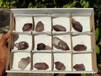 Natural Small Smokey Amethyst Crystals  x 12 From Chiredzi, Zimbabwe - Toprock Gemstones and Minerals 