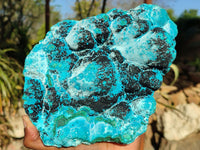 Natural Malacholla (Malachite & Chrysocolla) Specimen  x 1 From Kulukuluku, Congo - Toprock Gemstones and Minerals 