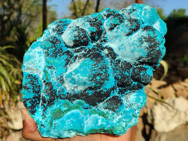 Natural Malacholla (Malachite & Chrysocolla) Specimen  x 1 From Kulukuluku, Congo - Toprock Gemstones and Minerals 