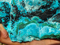 Natural Malacholla (Malachite & Chrysocolla) Specimen  x 1 From Kulukuluku, Congo - Toprock Gemstones and Minerals 