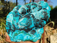 Natural Malacholla (Malachite & Chrysocolla) Specimen  x 1 From Kulukuluku, Congo - Toprock Gemstones and Minerals 