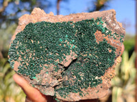 Natural Micro Botryoidal Crystalline Malachite Specimens  x 4 From Congo - Toprock Gemstones and Minerals 