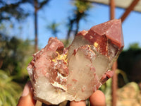 Natural Red Hematite Phantom Quartz Specimens  x 3 From Karoi, Zimbabwe - Toprock Gemstones and Minerals 