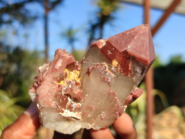 Natural Red Hematite Phantom Quartz Specimens  x 3 From Karoi, Zimbabwe - Toprock Gemstones and Minerals 