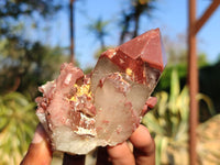 Natural Red Hematite Phantom Quartz Specimens  x 3 From Karoi, Zimbabwe - Toprock Gemstones and Minerals 