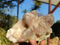 Natural Red Hematite Phantom Quartz Specimens  x 3 From Karoi, Zimbabwe - Toprock Gemstones and Minerals 