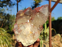 Natural Red Hematite Phantom Quartz Specimens  x 3 From Karoi, Zimbabwe - Toprock Gemstones and Minerals 