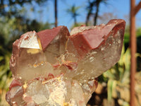 Natural Red Hematite Phantom Quartz Specimens  x 3 From Karoi, Zimbabwe - Toprock Gemstones and Minerals 