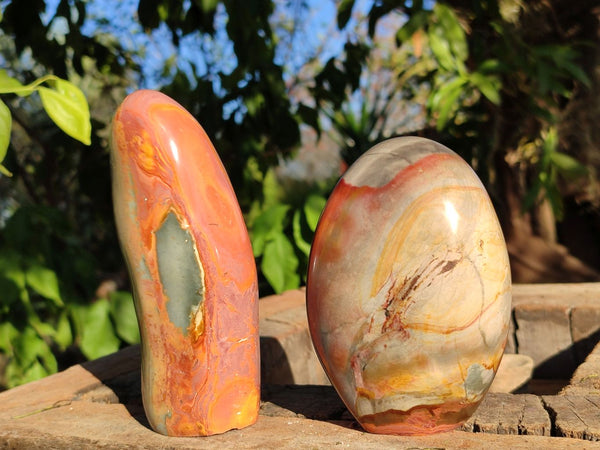 Polished Polychrome / Picasso Jasper Standing Free Forms  x 2 From Madagascar - Toprock Gemstones and Minerals 