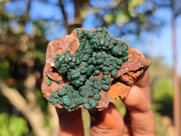 Natural Rare Ball Malachite On Drusi Quartz & Dolomite Matrix  x 6 From Kambove, Congo - Toprock Gemstones and Minerals 