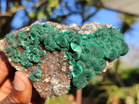 Natural Rare Ball Malachite On Drusi Quartz & Dolomite Matrix  x 6 From Kambove, Congo - Toprock Gemstones and Minerals 