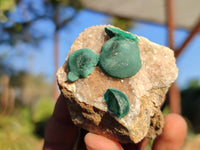 Natural Rare Ball Malachite On Drusi Quartz & Dolomite Matrix  x 6 From Kambove, Congo - Toprock Gemstones and Minerals 