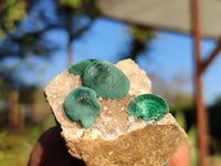 Natural Rare Ball Malachite On Drusi Quartz & Dolomite Matrix  x 6 From Kambove, Congo - Toprock Gemstones and Minerals 