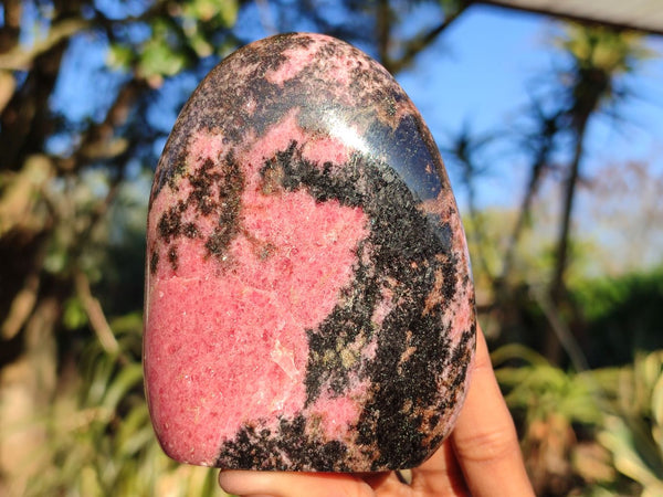 Polished Pink & Black Rhodonite Standing Free Forms  x 3 From Madagascar - Toprock Gemstones and Minerals 