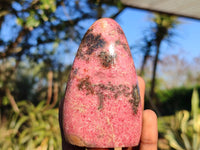 Polished Pink & Black Rhodonite Standing Free Forms  x 3 From Madagascar - Toprock Gemstones and Minerals 