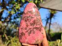 Polished Pink & Black Rhodonite Standing Free Forms  x 3 From Madagascar - Toprock Gemstones and Minerals 