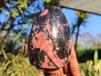 Polished Pink & Black Rhodonite Standing Free Forms  x 3 From Madagascar - Toprock Gemstones and Minerals 