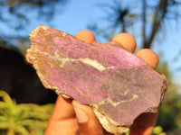 Polished Metallic Purpurite Free Forms With Matte Finish x 12 From Erongo, Namibia - Toprock Gemstones and Minerals 