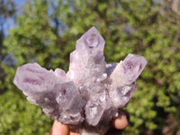 Natural Sugar Amethyst Clusters  x 6 From Solwezi, Zambia - Toprock Gemstones and Minerals 