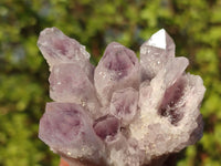 Natural Sugar Amethyst Clusters  x 6 From Solwezi, Zambia - Toprock Gemstones and Minerals 