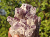 Natural Sugar Amethyst Clusters  x 6 From Solwezi, Zambia - Toprock Gemstones and Minerals 