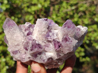 Natural Sugar Amethyst Clusters  x 6 From Solwezi, Zambia - Toprock Gemstones and Minerals 