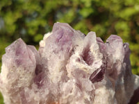 Natural Sugar Amethyst Clusters  x 6 From Solwezi, Zambia - Toprock Gemstones and Minerals 