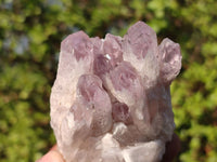 Natural Sugar Amethyst Clusters  x 6 From Solwezi, Zambia - Toprock Gemstones and Minerals 