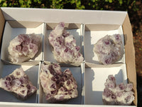 Natural Sugar Amethyst Clusters  x 6 From Solwezi, Zambia - Toprock Gemstones and Minerals 