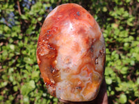 Polished Carnelian Agate Standing Free Forms  x 3 From Madagascar - Toprock Gemstones and Minerals 