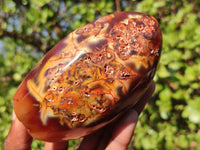 Polished Carnelian Agate Standing Free Forms  x 3 From Madagascar - Toprock Gemstones and Minerals 