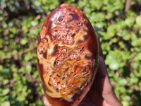 Polished Carnelian Agate Standing Free Forms  x 3 From Madagascar - Toprock Gemstones and Minerals 