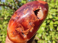 Polished Carnelian Agate Standing Free Forms  x 3 From Madagascar - Toprock Gemstones and Minerals 