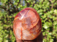 Polished Carnelian Agate Standing Free Forms  x 3 From Madagascar - Toprock Gemstones and Minerals 