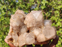 Natural Cascading White Phantom Smokey Quartz Clusters  x 2 From Luena, Congo - Toprock Gemstones and Minerals 