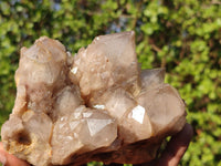 Natural Cascading White Phantom Smokey Quartz Clusters  x 2 From Luena, Congo - Toprock Gemstones and Minerals 