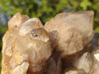 Natural Cascading White Phantom Smokey Quartz Clusters  x 2 From Luena, Congo - Toprock Gemstones and Minerals 